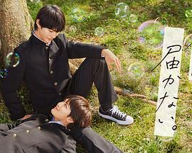 藤浦惠破解海报剧照