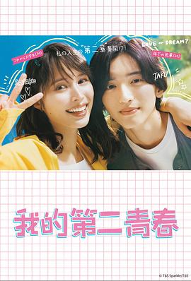 乱世佳人简介海报剧照